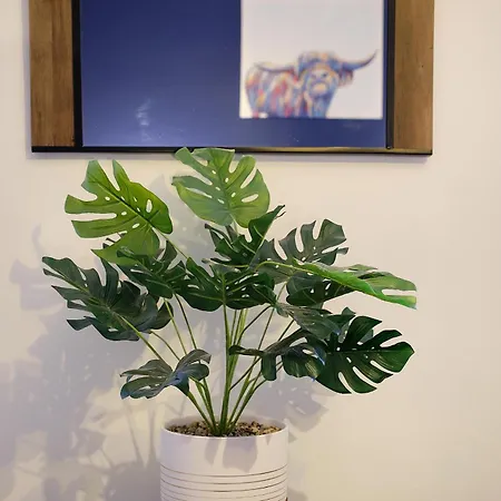 Flat Cap Vakantiehuis Skipton