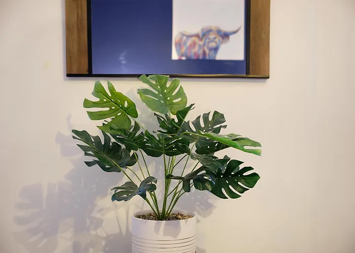 Flat Cap Holiday home Skipton